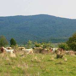 парцели в Бяла, Обзор на първа линия море 