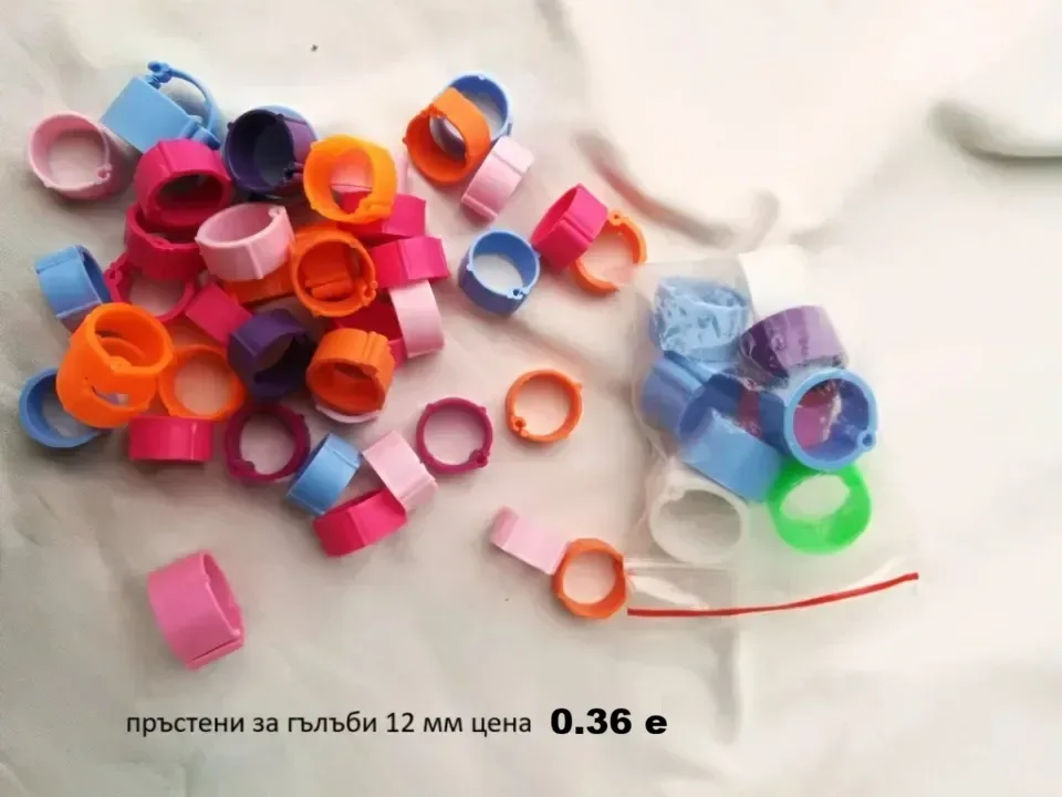 Снимка 3