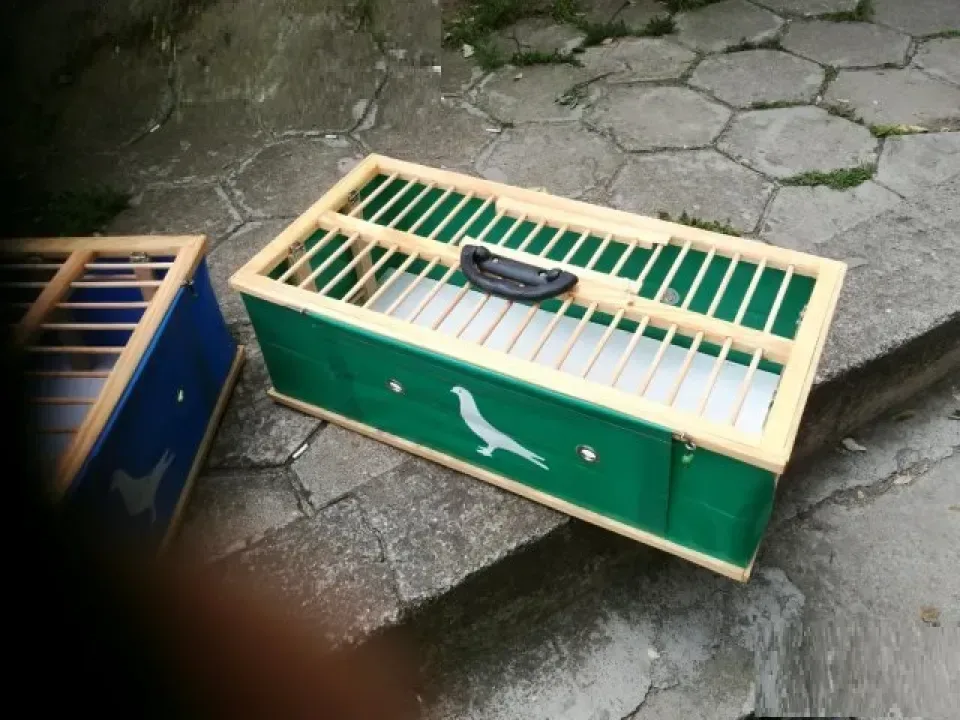 Снимка 3