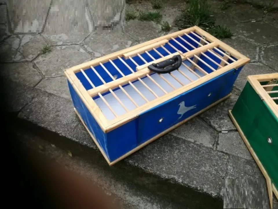 Снимка 4