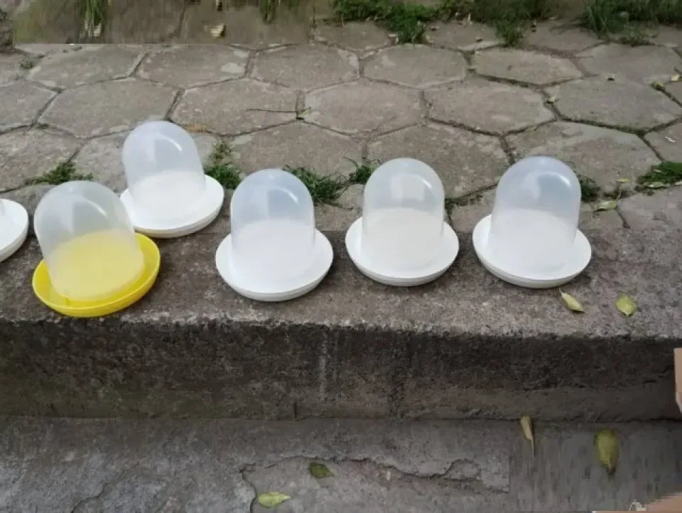 Снимка 3