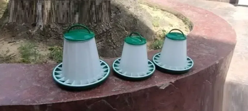 Снимка 3