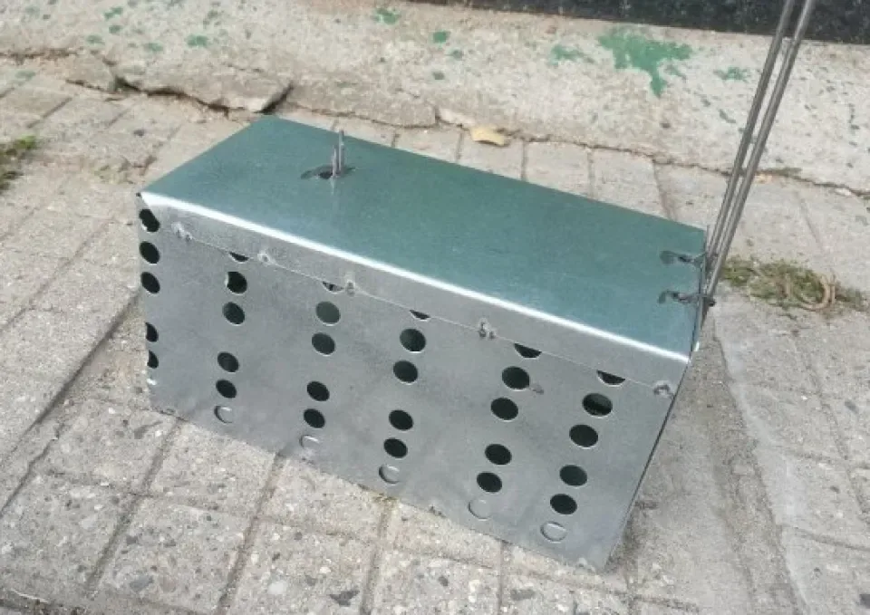 Снимка 3