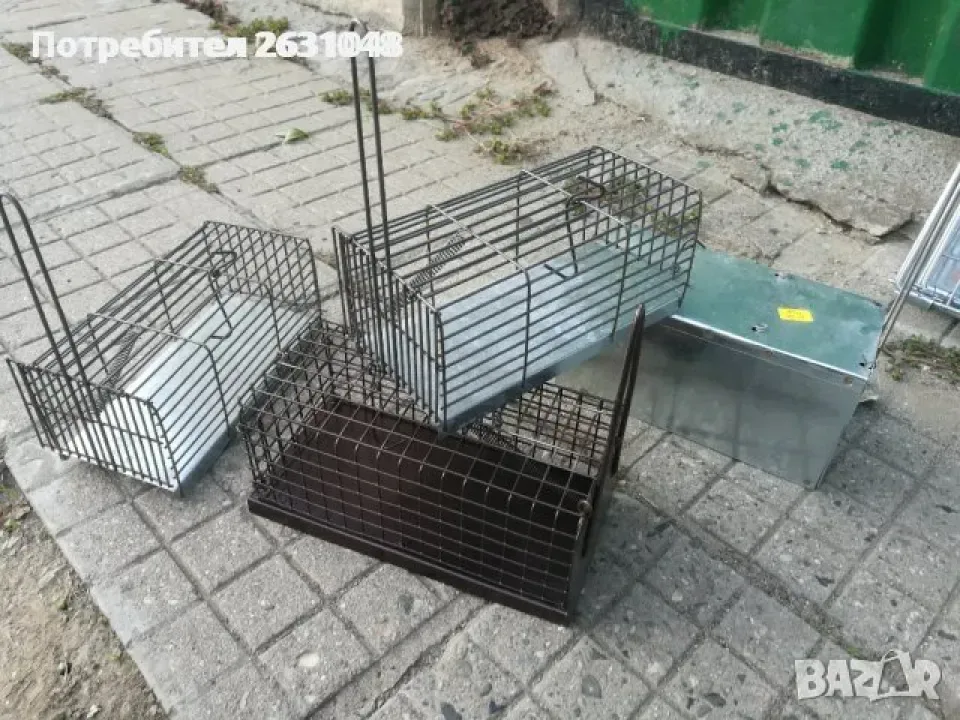 Снимка 6