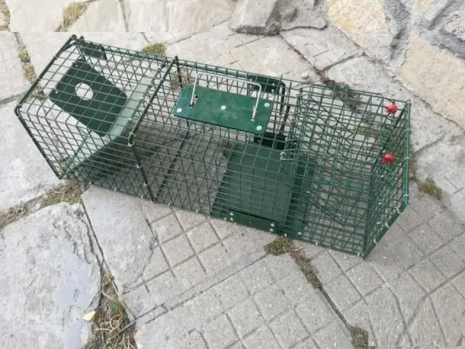 Снимка 2