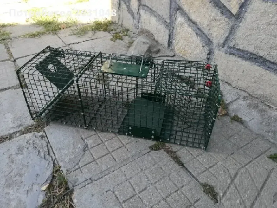 Снимка 3
