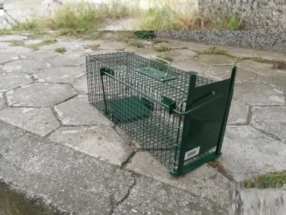 Снимка 4