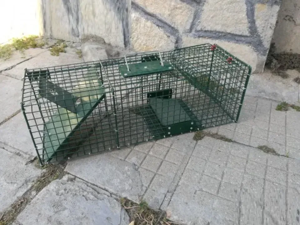 Снимка 5