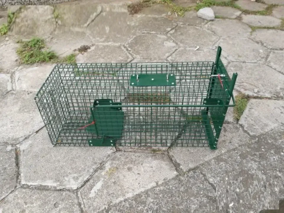 Снимка 6