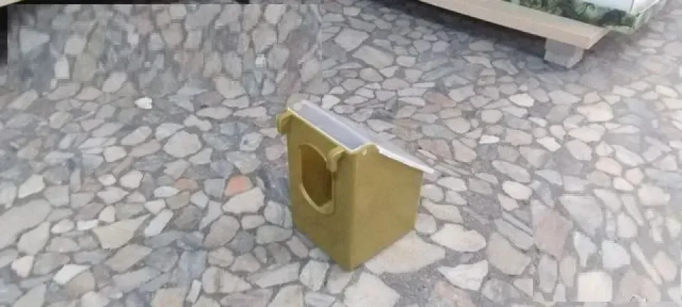 Снимка 2