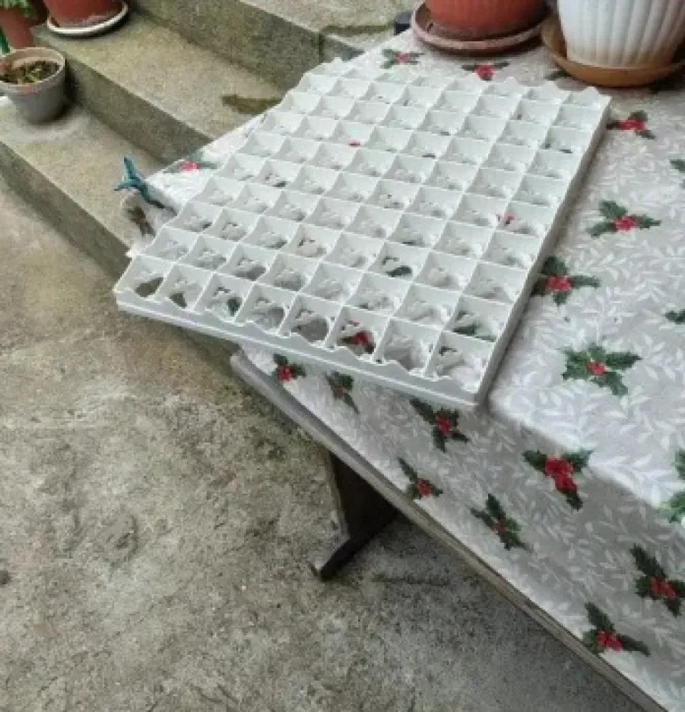 Снимка 2