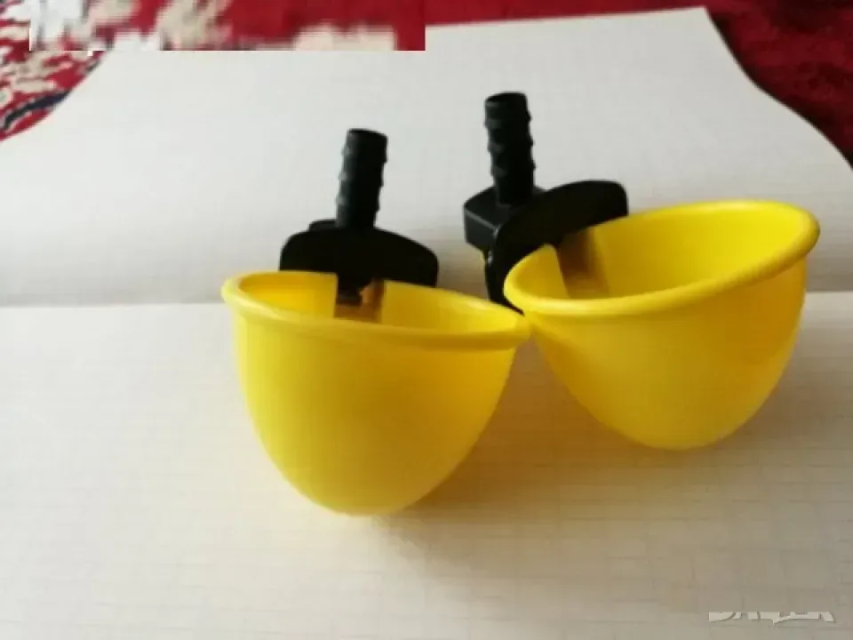 Снимка 2
