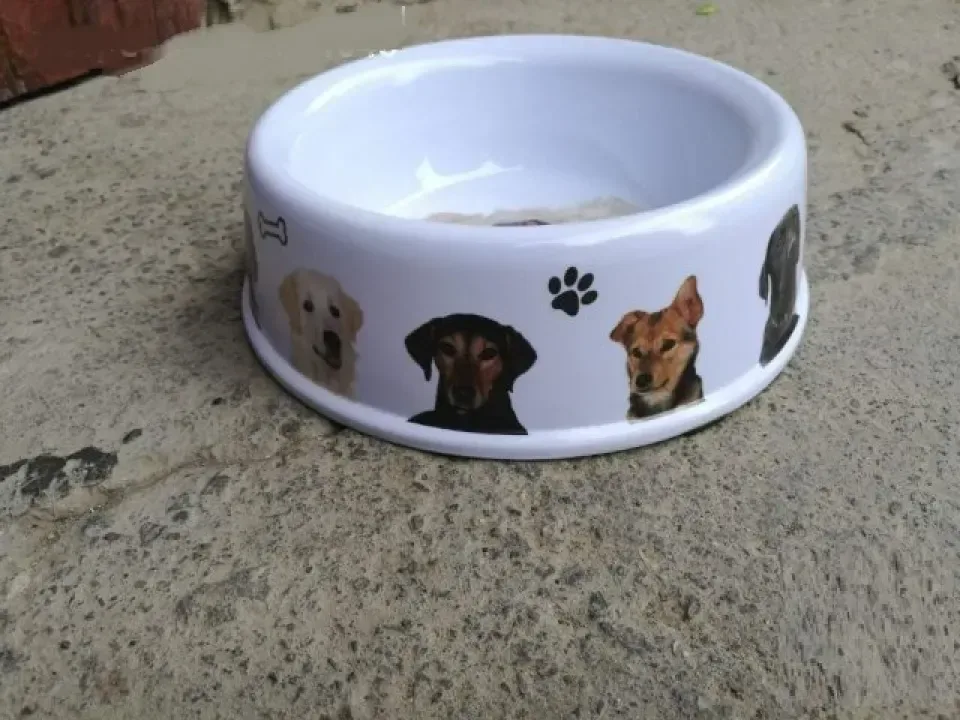 Снимка 2
