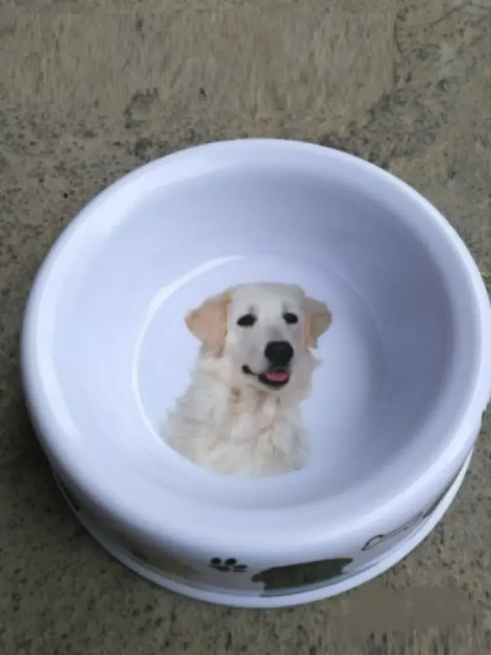 Снимка 3