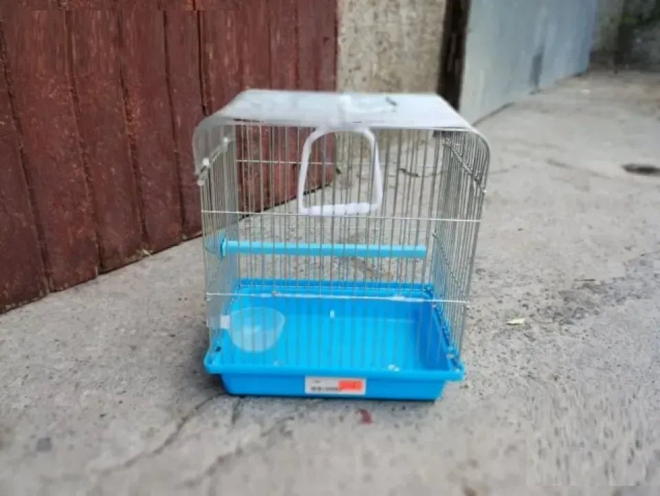 Снимка 2