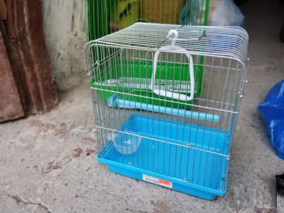 Снимка 3