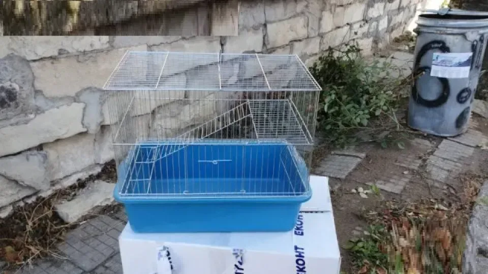 Снимка 2