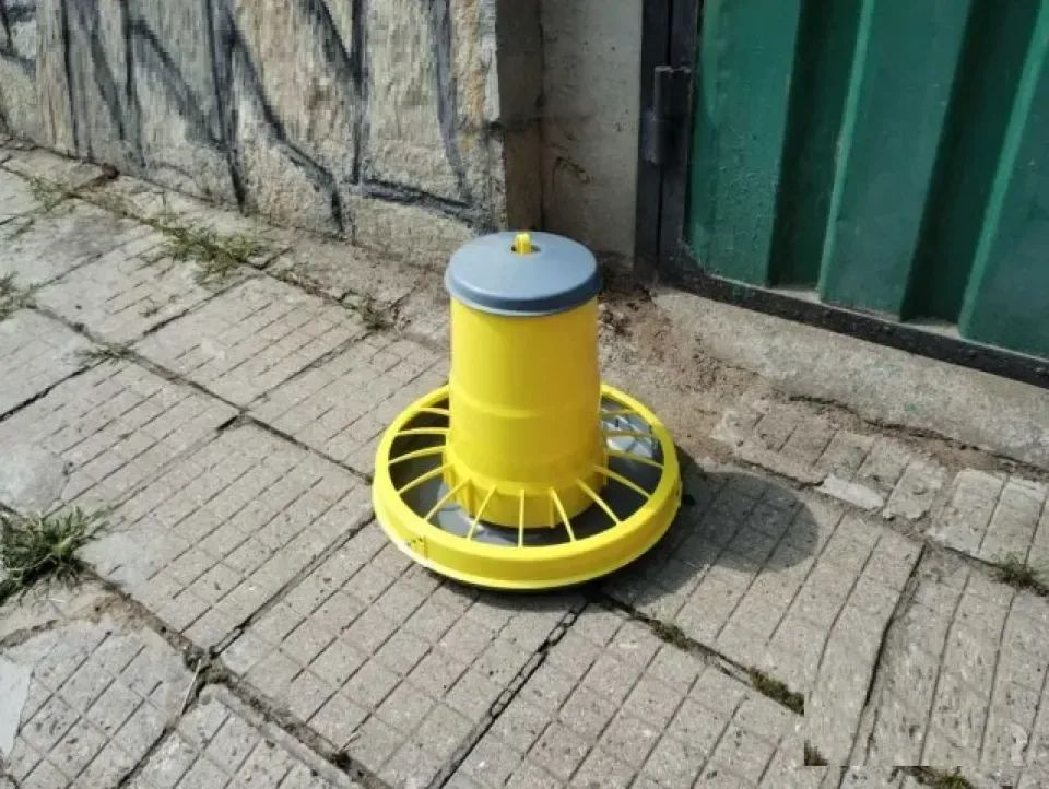 Снимка 2