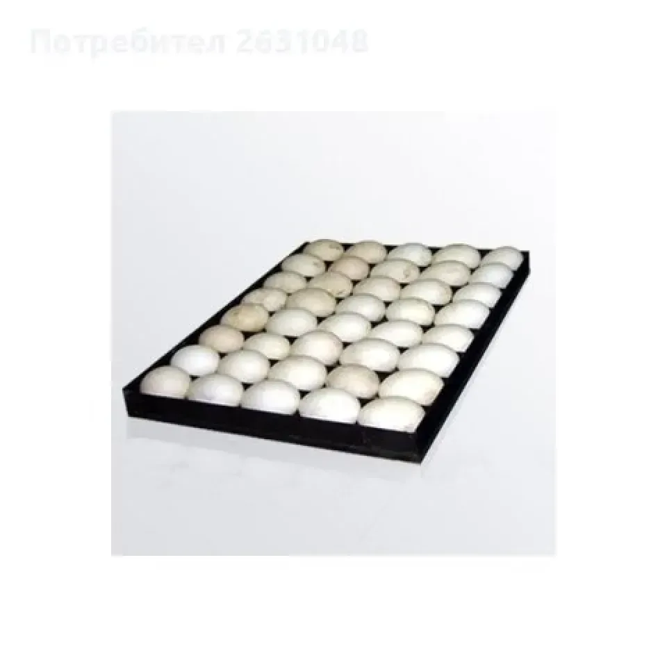 Снимка 5