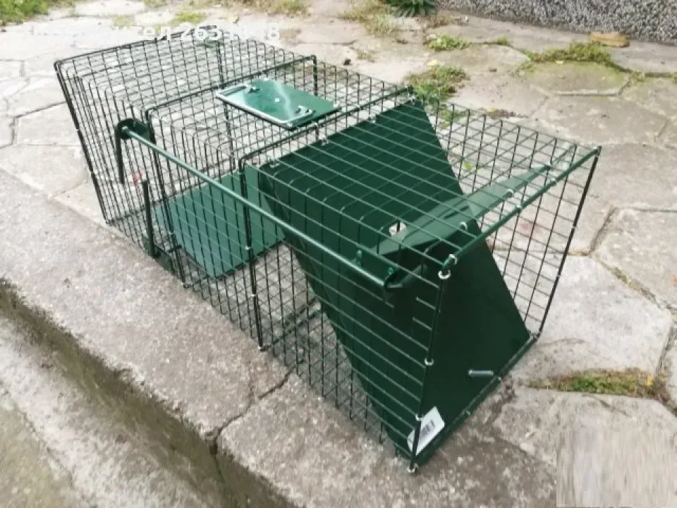 Снимка 2