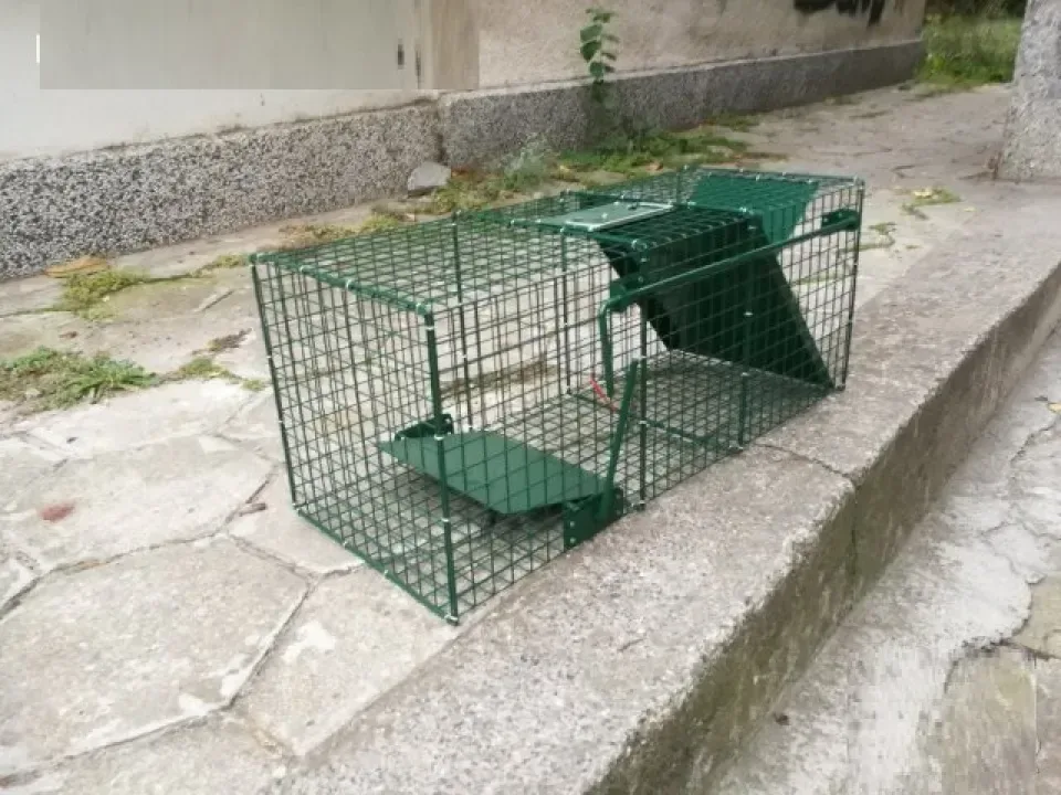 Снимка 3