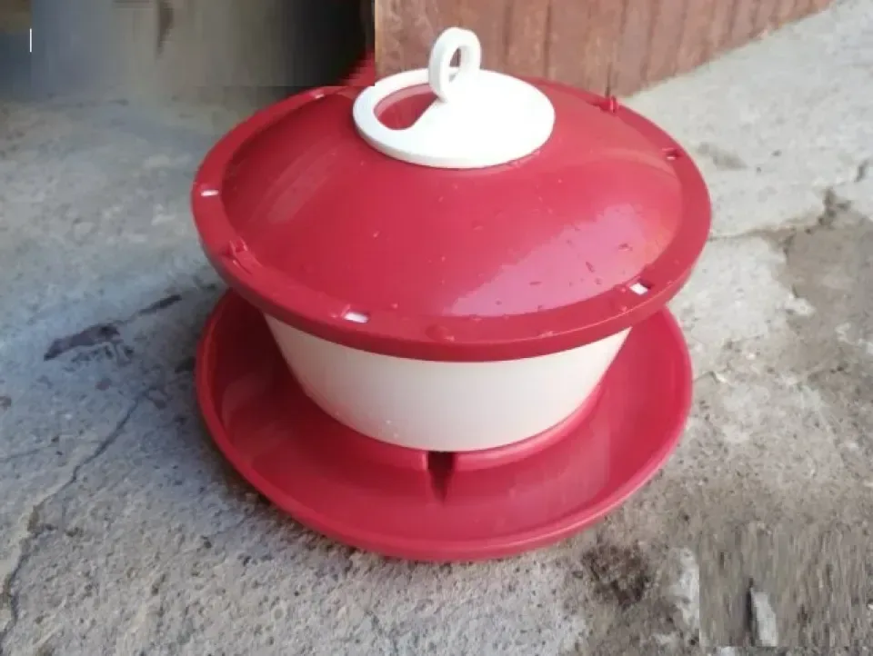 Снимка 5