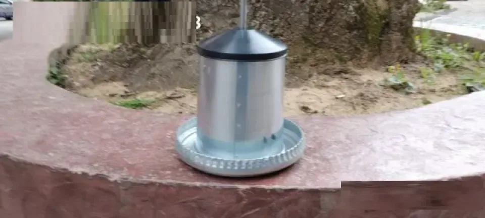 Снимка 2