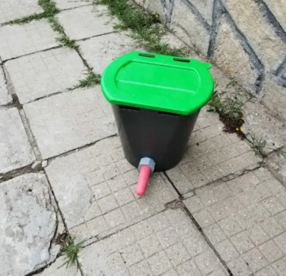 Снимка 2