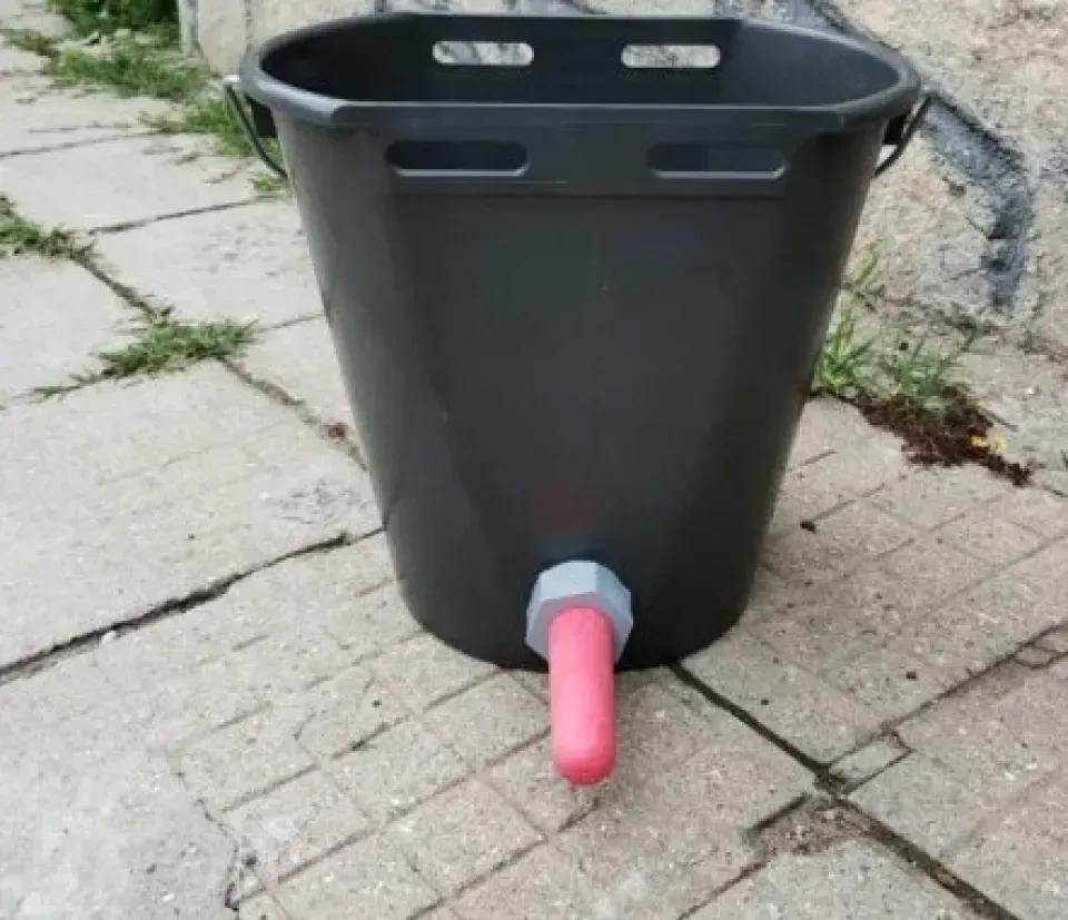 Снимка 3