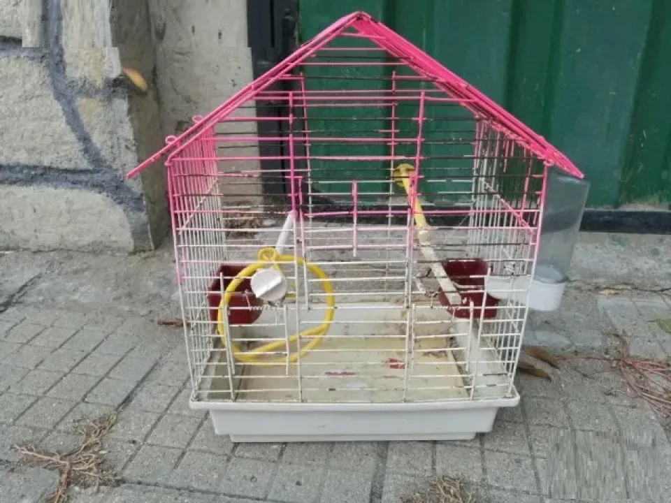 Снимка 2