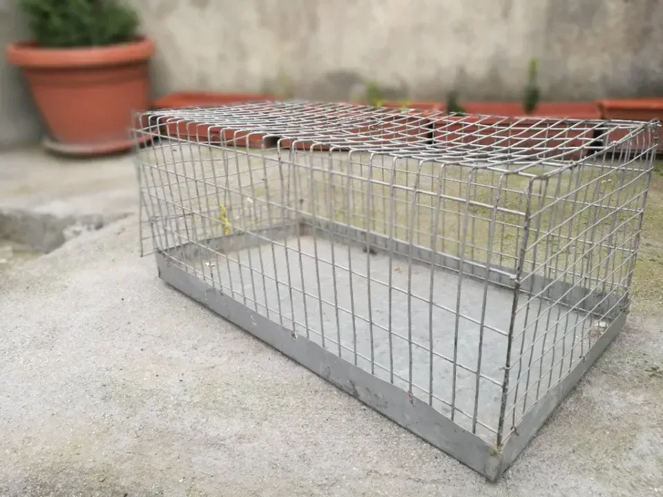 клетка метална