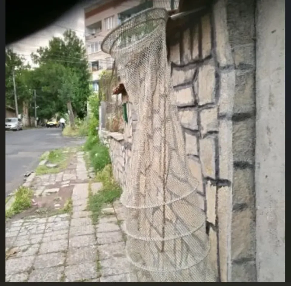 живарник с колче