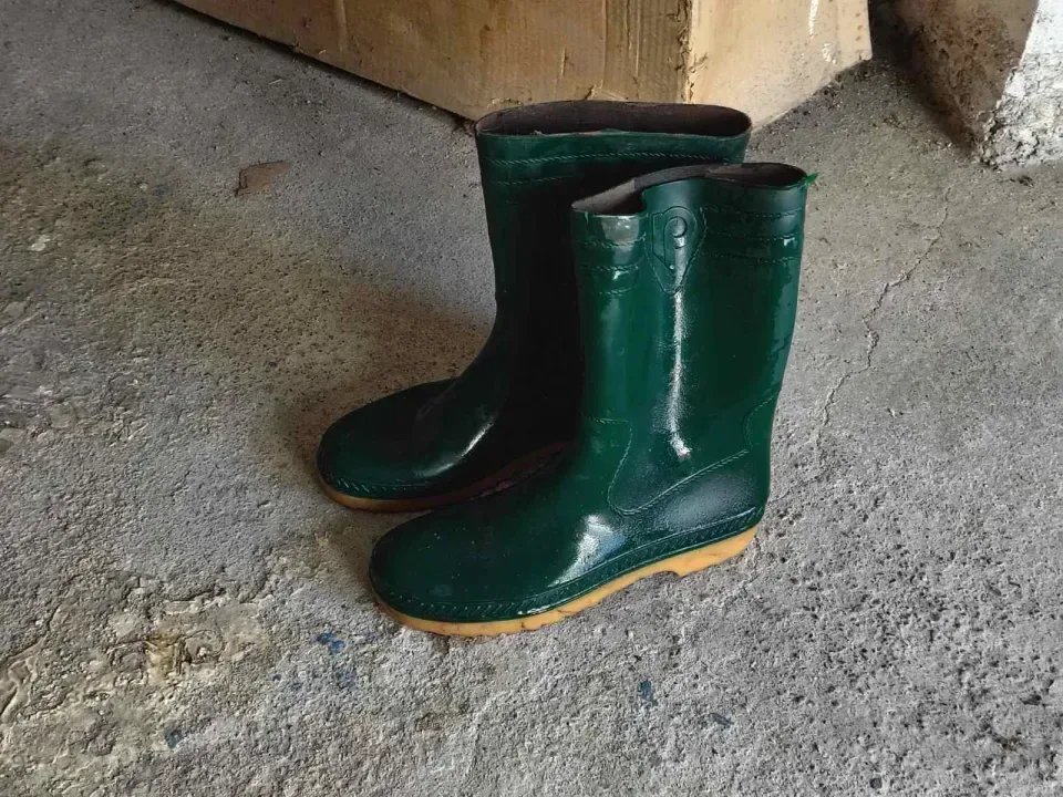 Снимка 2